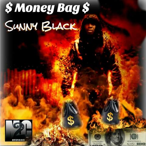 Money Bag