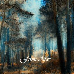 From Afar