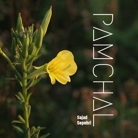 Pamchal