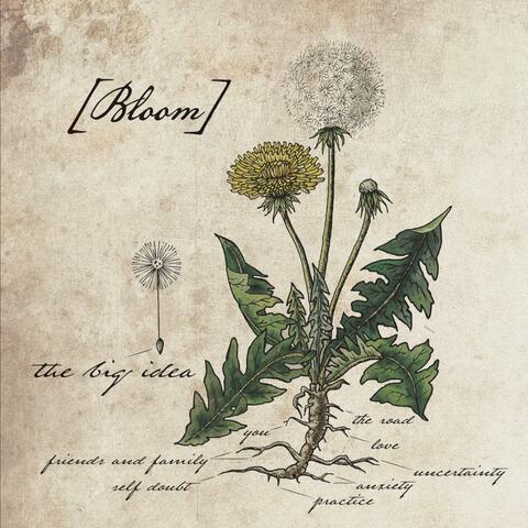 Bloom