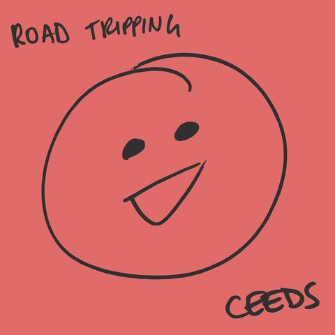 Road Tripping