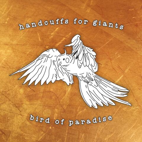 Bird of Paradise