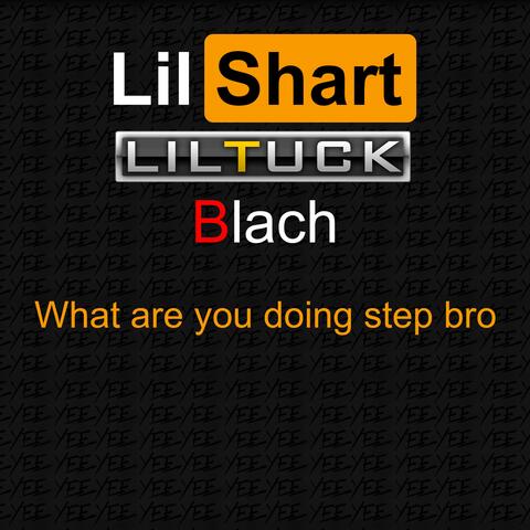 What Are You Doing Step Bro