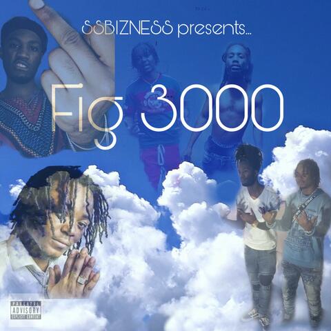 FIG 3000