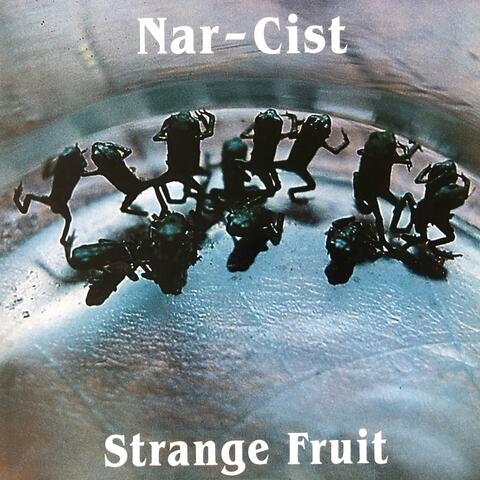Strange Fruit
