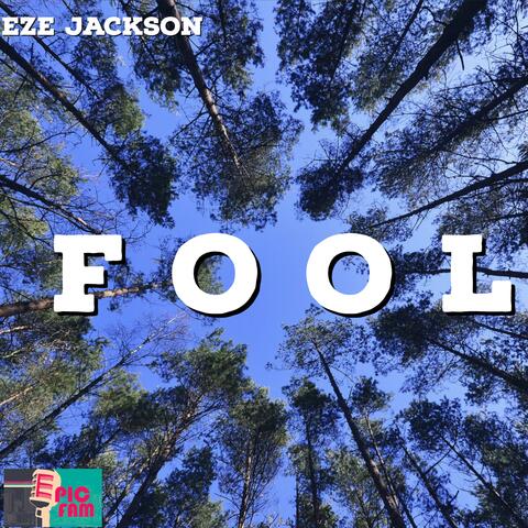 Fool