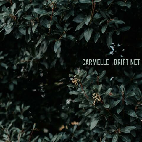 Drift Net