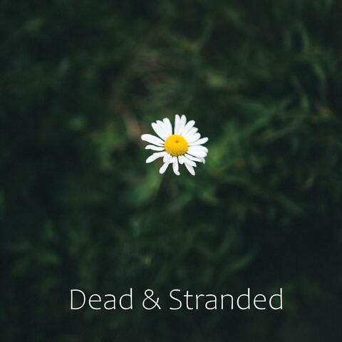 Dead & Stranded