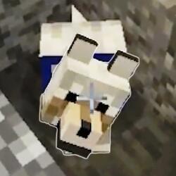 Sven