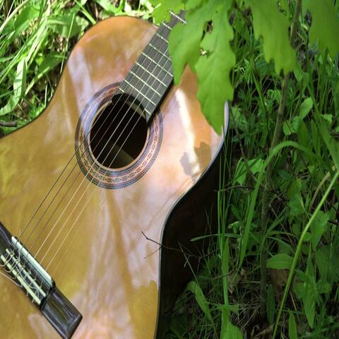 Shady Grove