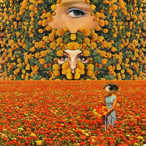 ...And She Exploded Into Color