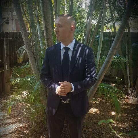 Back in the Pines