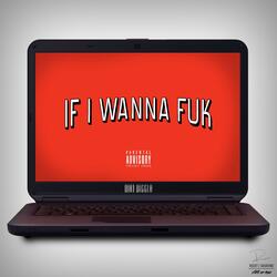 If I Wanna Fuk