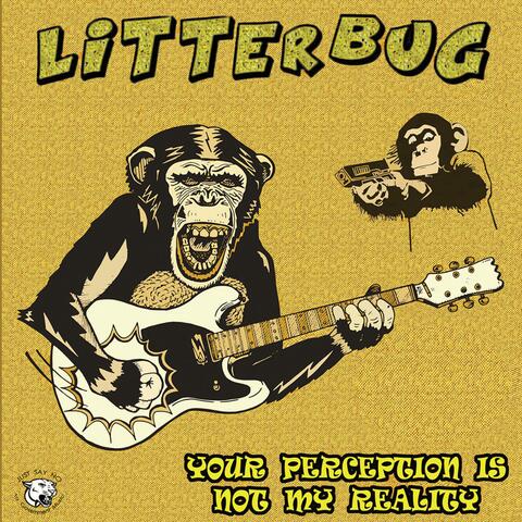 Your Perception Is Not My Reality / Countdown to Schadefreude