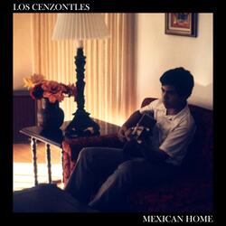 Mexican Home