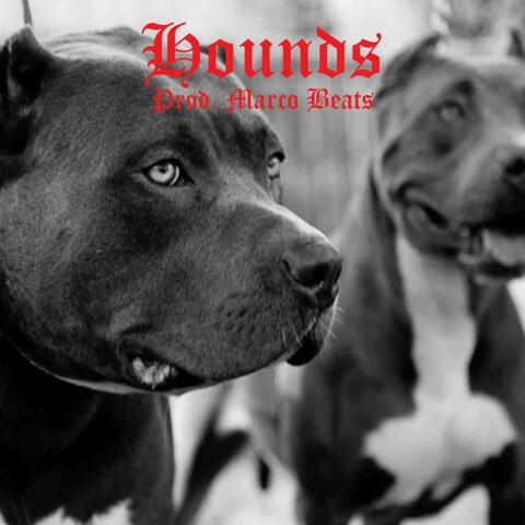 Hounds