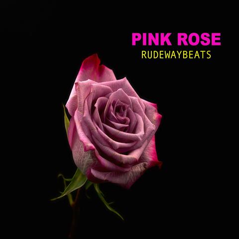 Pink Rose
