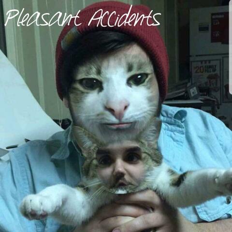 Pleasant Accidents