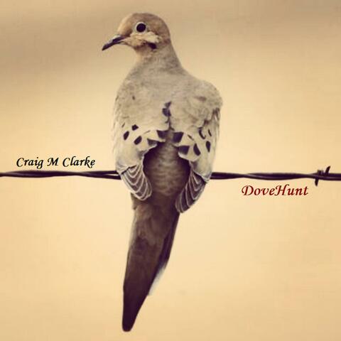 DoveHunt