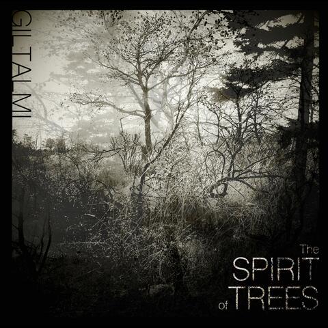 The Spirit Of Trees