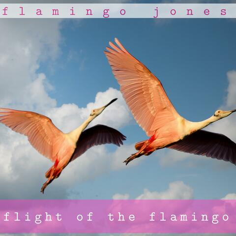 Flight of the Flamingo EP