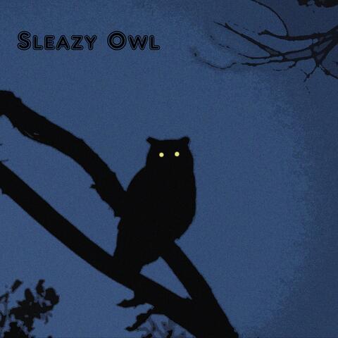 Sleazy Owl