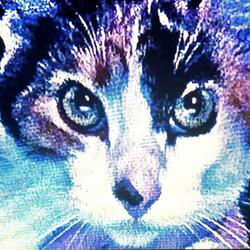 Variations on American Luck