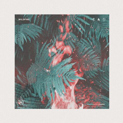 Wildfire