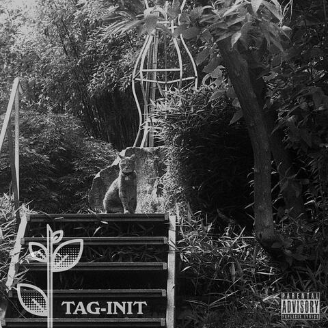 Tag-Init