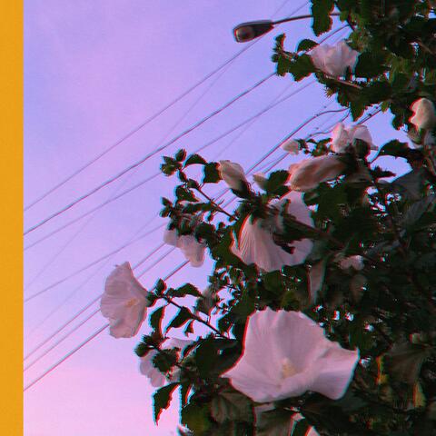 Over Now