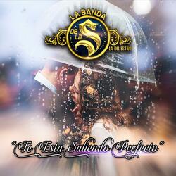 Te Esta Saliendo Perfecto