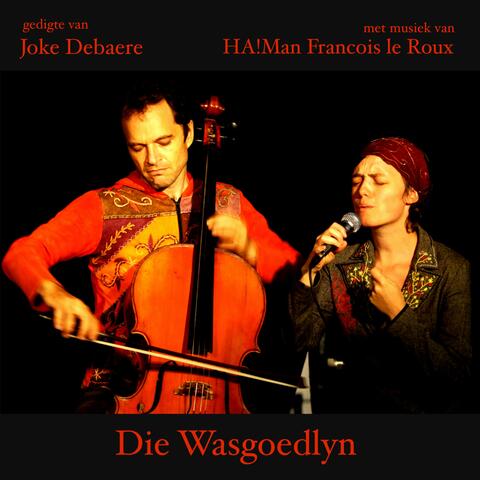 Gedigte Van Joke Debaere Met Musiek Van HA!man Francois Le Roux