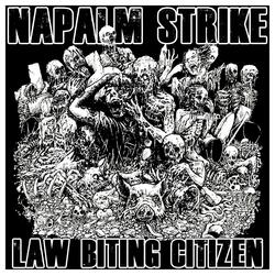 Law Biting Citizen 2019
