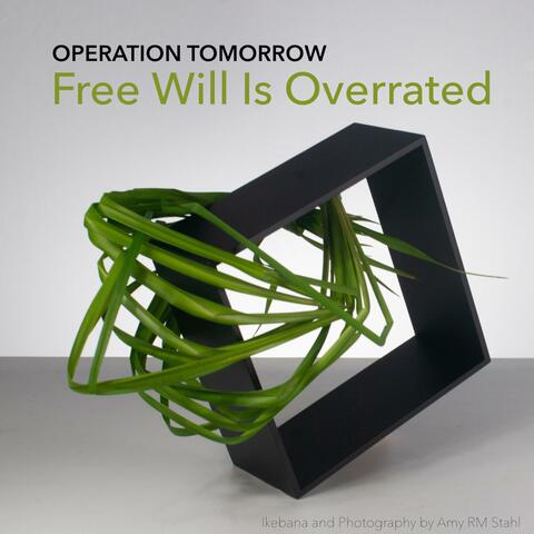 Free Will Is Overrated