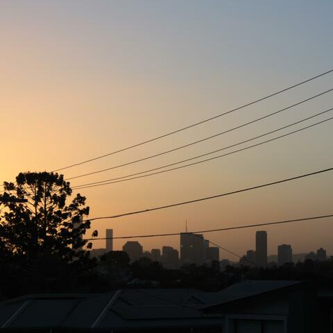 Morning