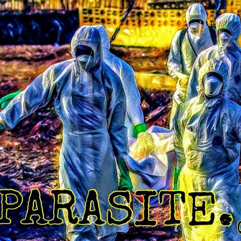 Parasite
