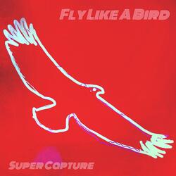 Fly Like a Bird