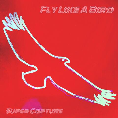 Fly Like a Bird