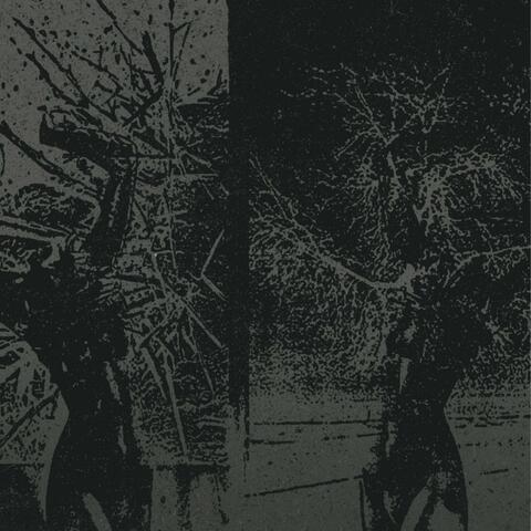 Split