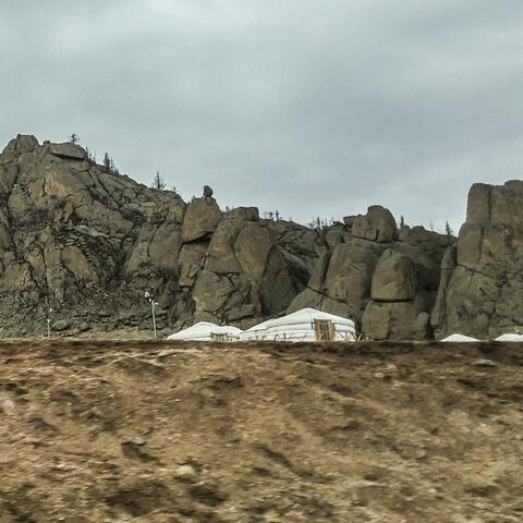 Steppe