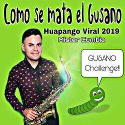 Como Se Mata el Gusano