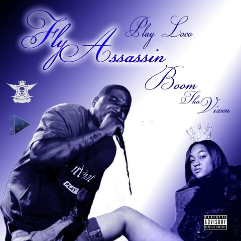 Fly Assassin