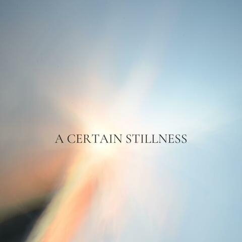 A Certain Stillness