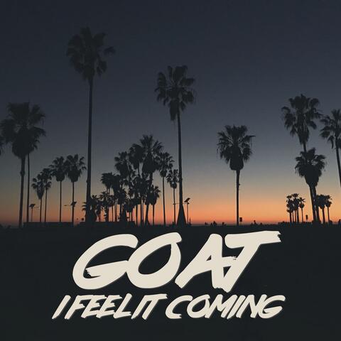 I Feel It Coming