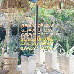 Genius of Love