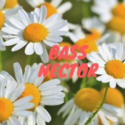 Bass Nector