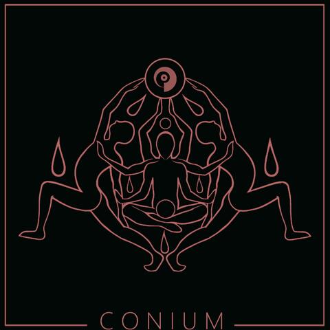 Conium