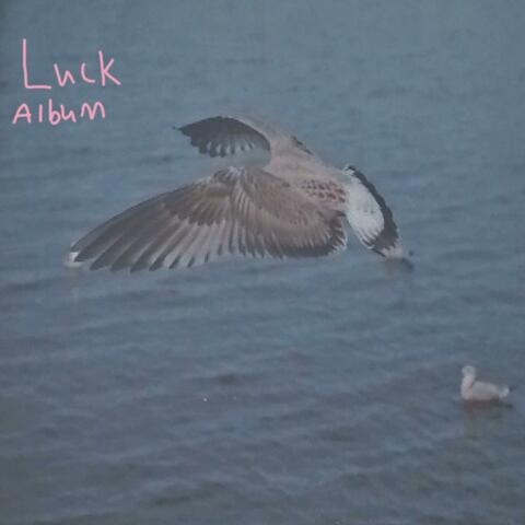 The Luck Album