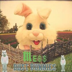 Dust Bunnies