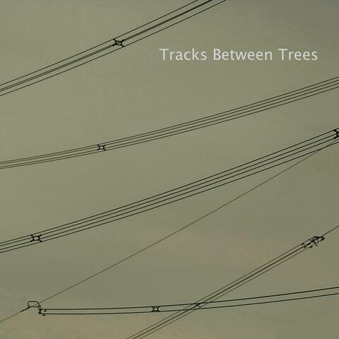 Tracks between  Trees